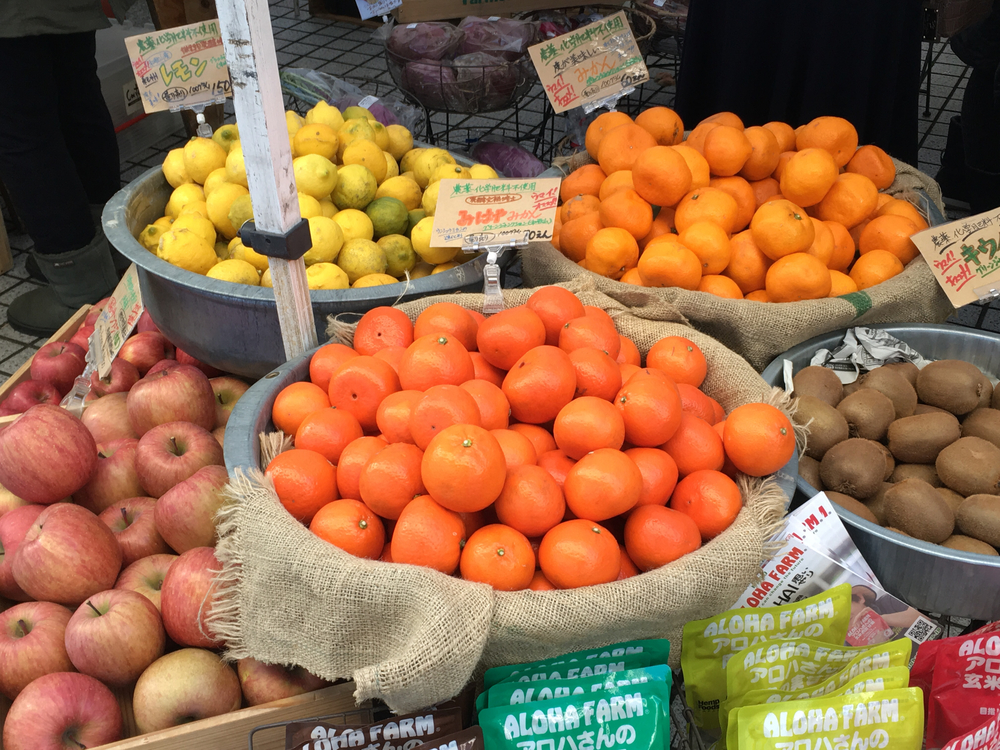 【2020年箱根駅伝優勝校】青山学院大学 周辺観光RUNの写真7