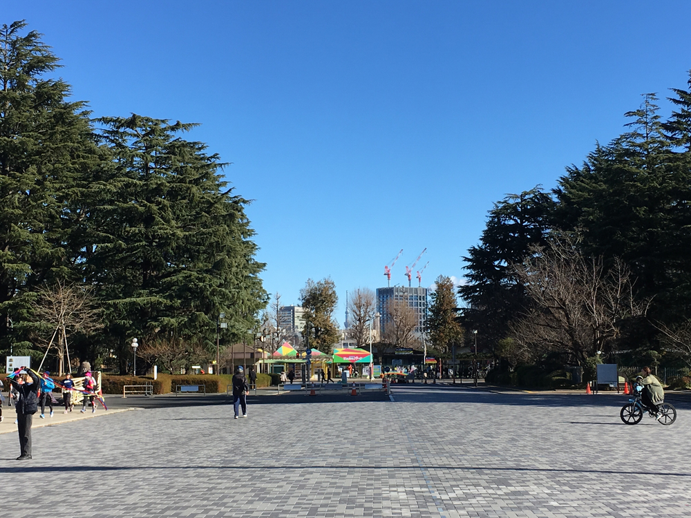 【2020年箱根駅伝優勝校】青山学院大学 周辺観光RUNの写真12