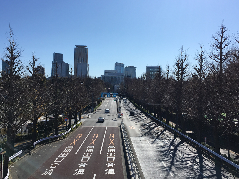 【2020年箱根駅伝優勝校】青山学院大学 周辺観光RUNの写真13
