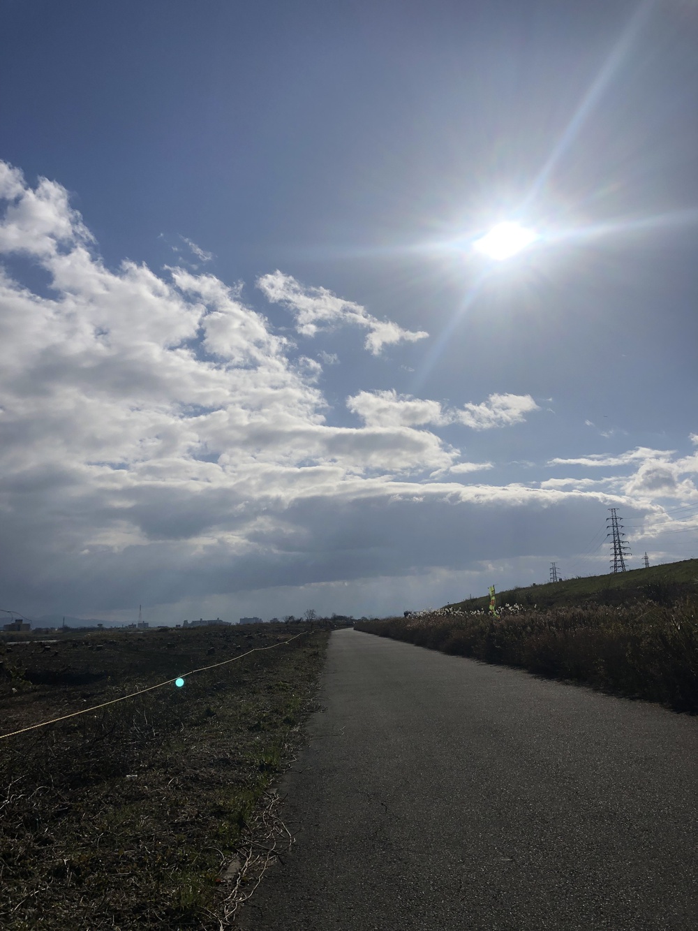 淀川河川敷、淀川新橋〜枚方大橋10km！の写真6
