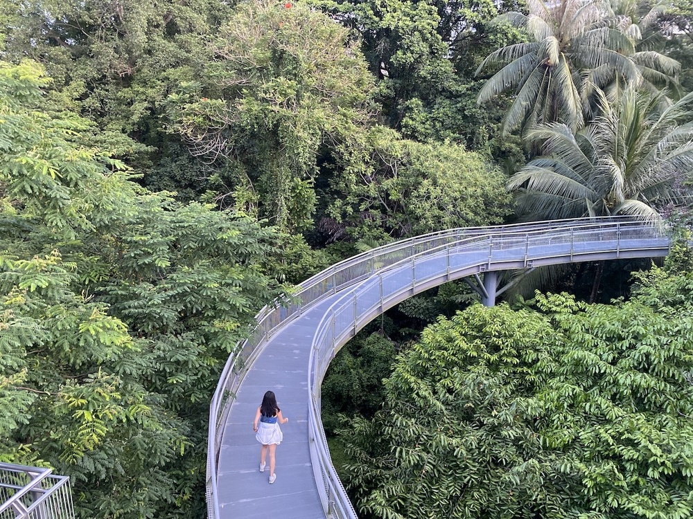 ヘンダーソンからラブラドールへの写真3