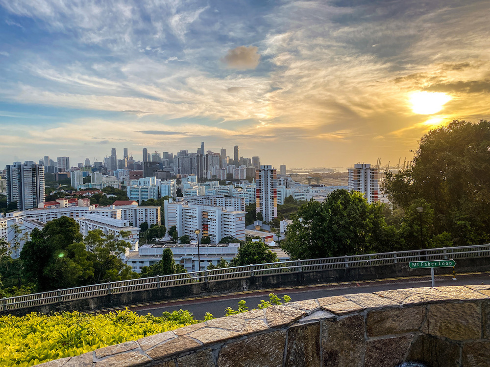 ヘンダーソンからラブラドールへの写真4