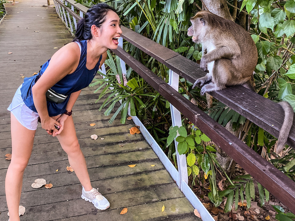 ヘンダーソンからラブラドールへの写真5