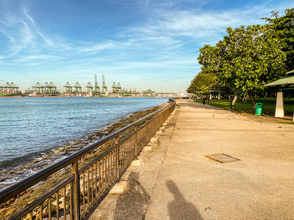 ヘンダーソンからラブラドールへの写真6