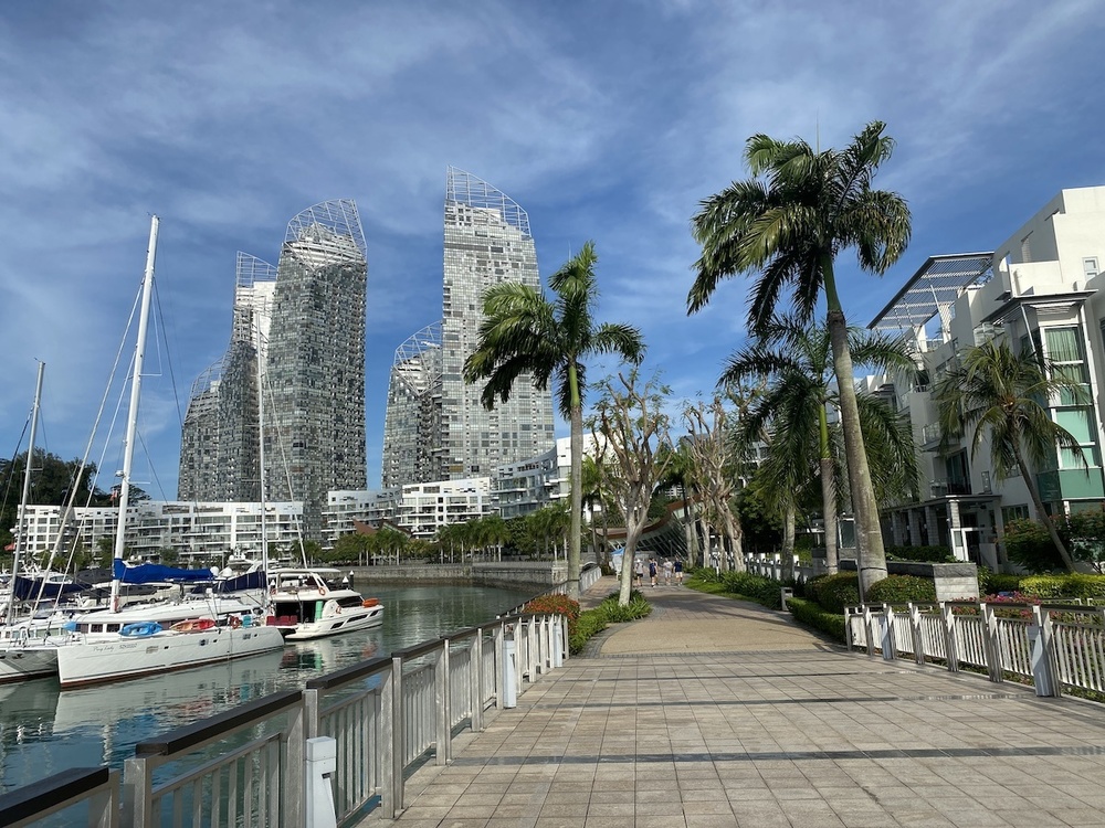 ヘンダーソンからラブラドールへの写真7