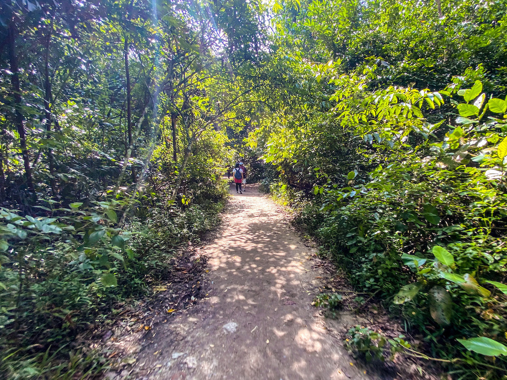 シンガポールの皇居的周回コース・マクリッチトレイルの写真3