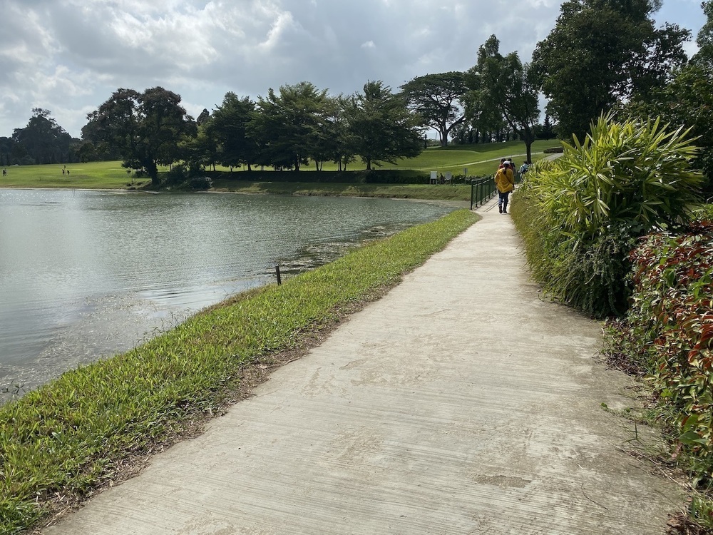 シンガポールの皇居的周回コース・マクリッチトレイルの写真6