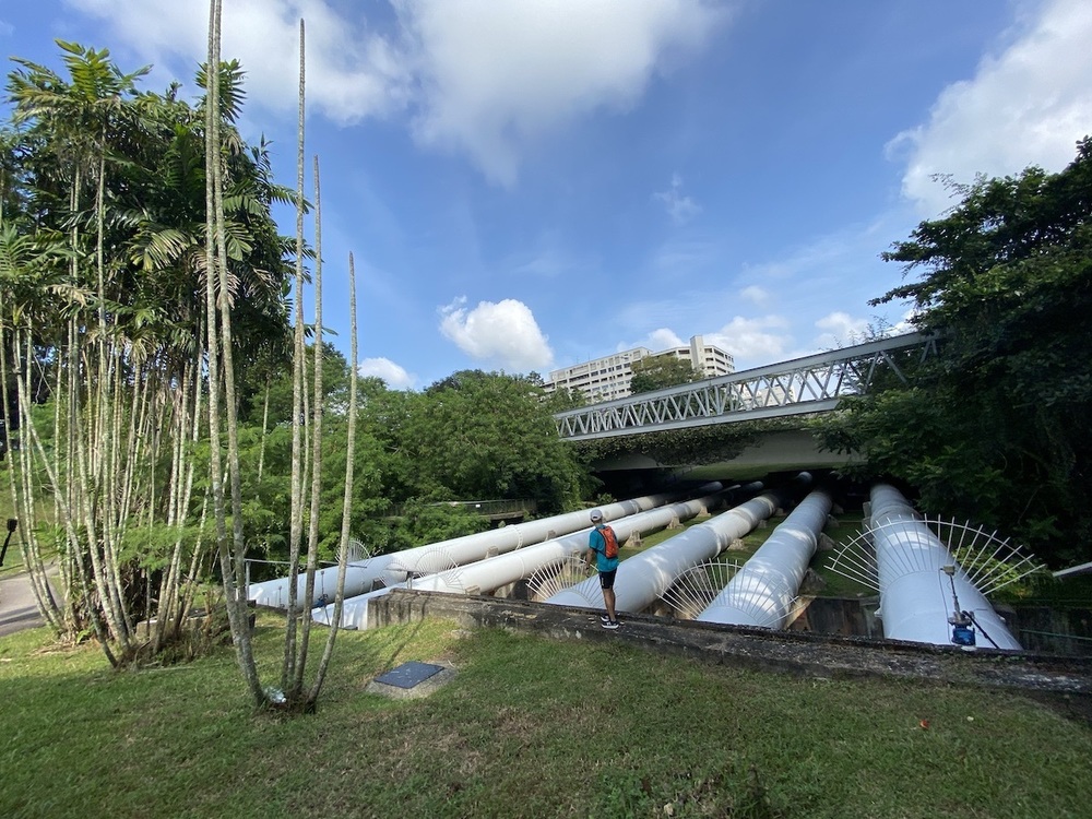 シンガポール最高峰（163m）を目指しての写真7