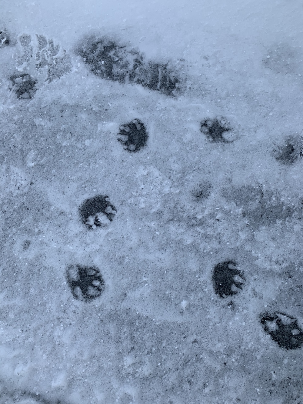 稚内童夢温泉から歩道を走れる往復11kmの写真3