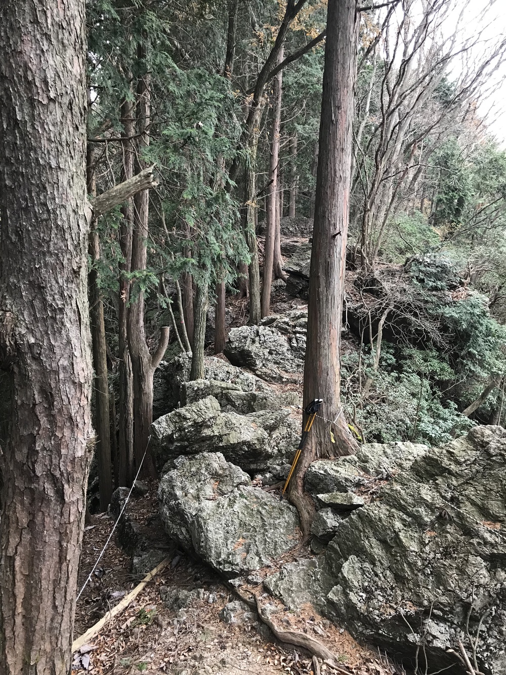 飯能から秩父 北奥武蔵縦走の写真6