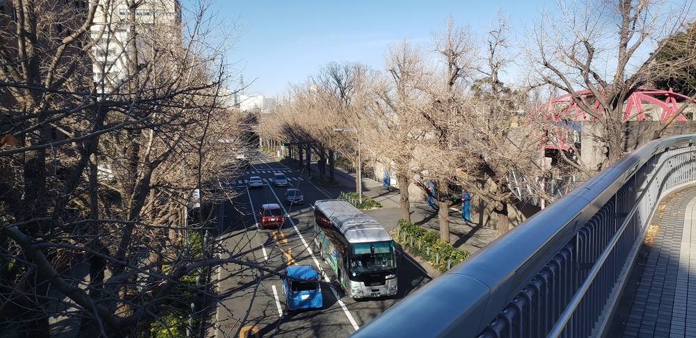新春 横浜満喫ジョグの写真8