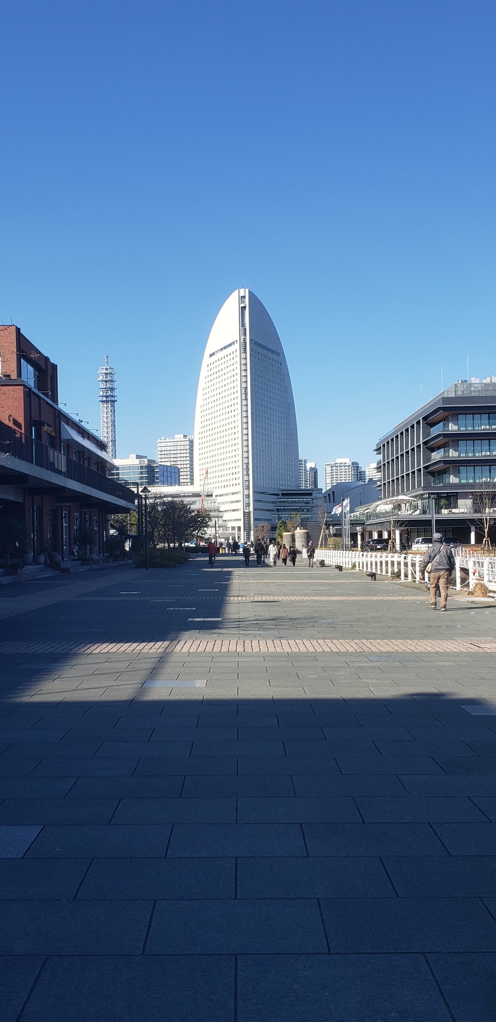 新春 横浜満喫ジョグの写真15