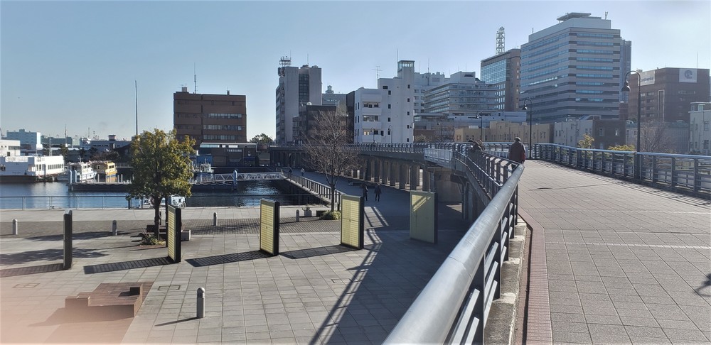 新春 横浜満喫ジョグの写真16