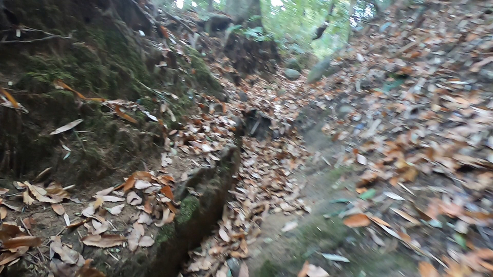 生駒縦走コーストレランの写真3