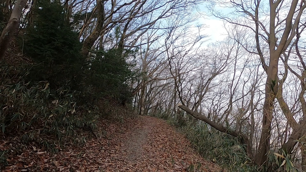 生駒縦走コーストレランの写真6