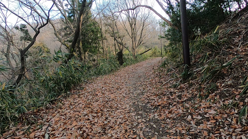 生駒縦走コーストレランの写真7