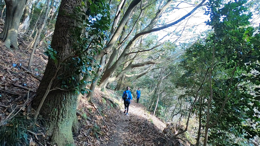 生駒縦走コーストレランの写真8
