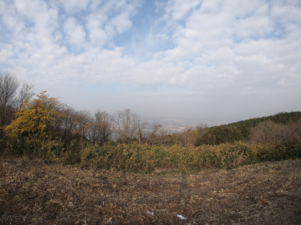 生駒縦走コーストレランの写真10