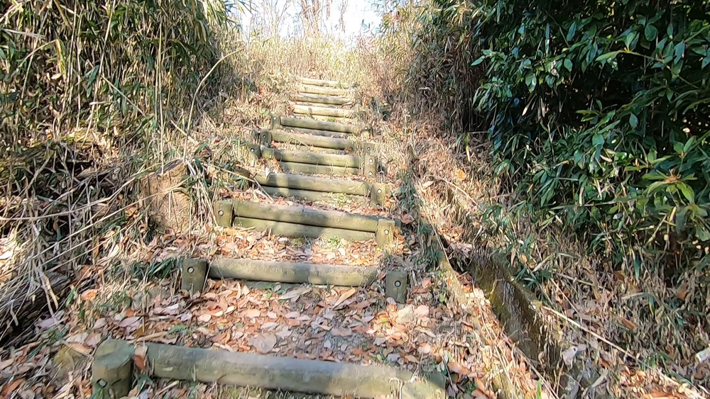 生駒縦走コーストレランの写真21