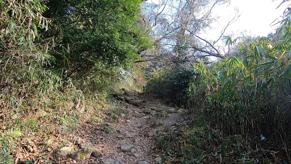 生駒縦走コーストレランの写真22