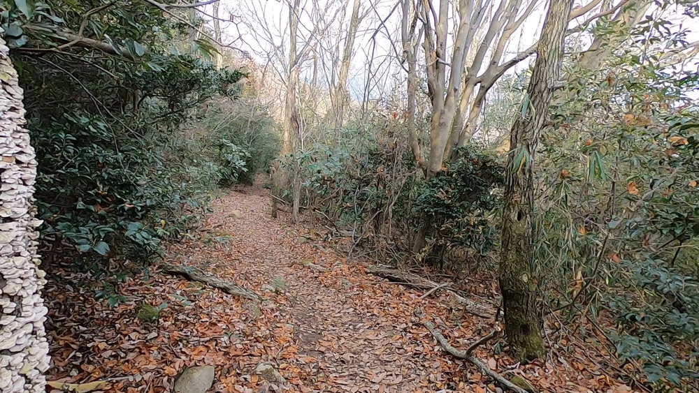 生駒縦走コーストレランの写真26