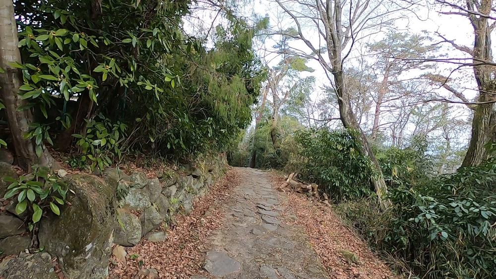 生駒縦走コーストレランの写真27