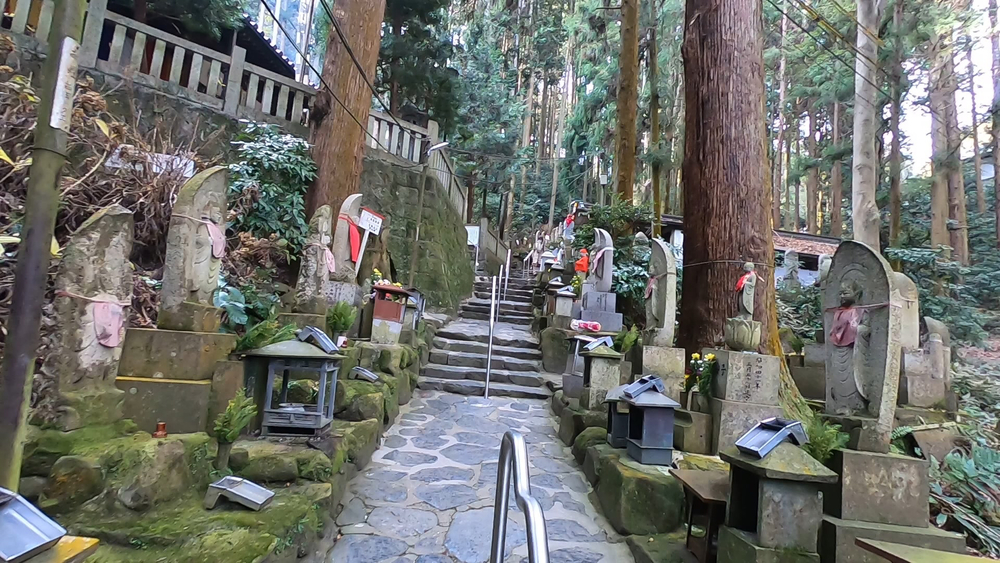 生駒縦走コーストレランの写真28