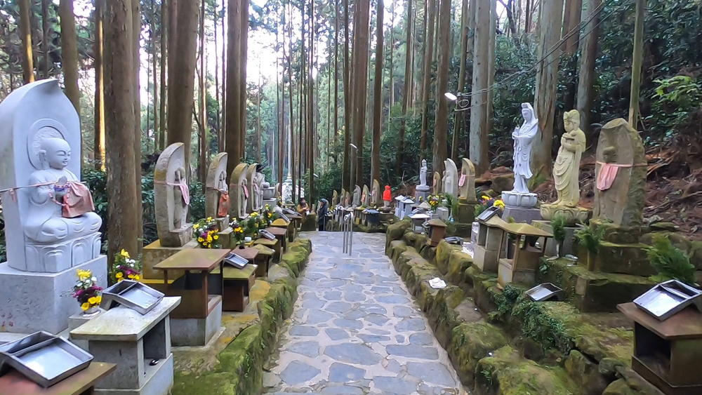 生駒縦走コーストレランの写真29