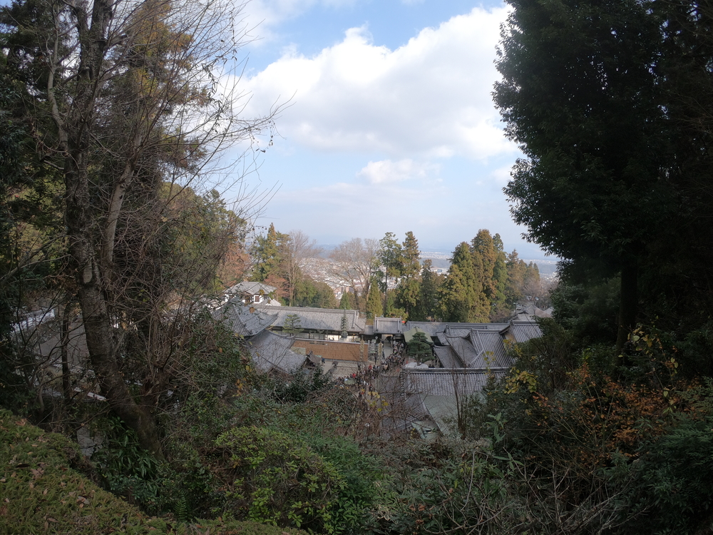 生駒縦走コーストレランの写真30