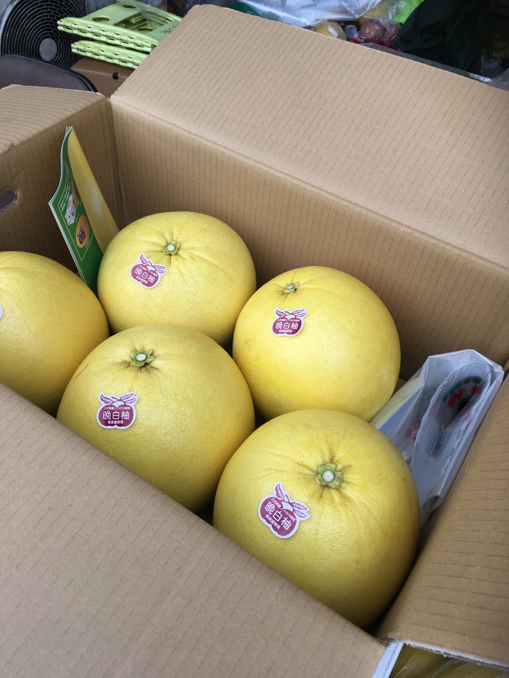 博多駅→鹿児島中央駅ジャーニーラン345km3日目の写真3