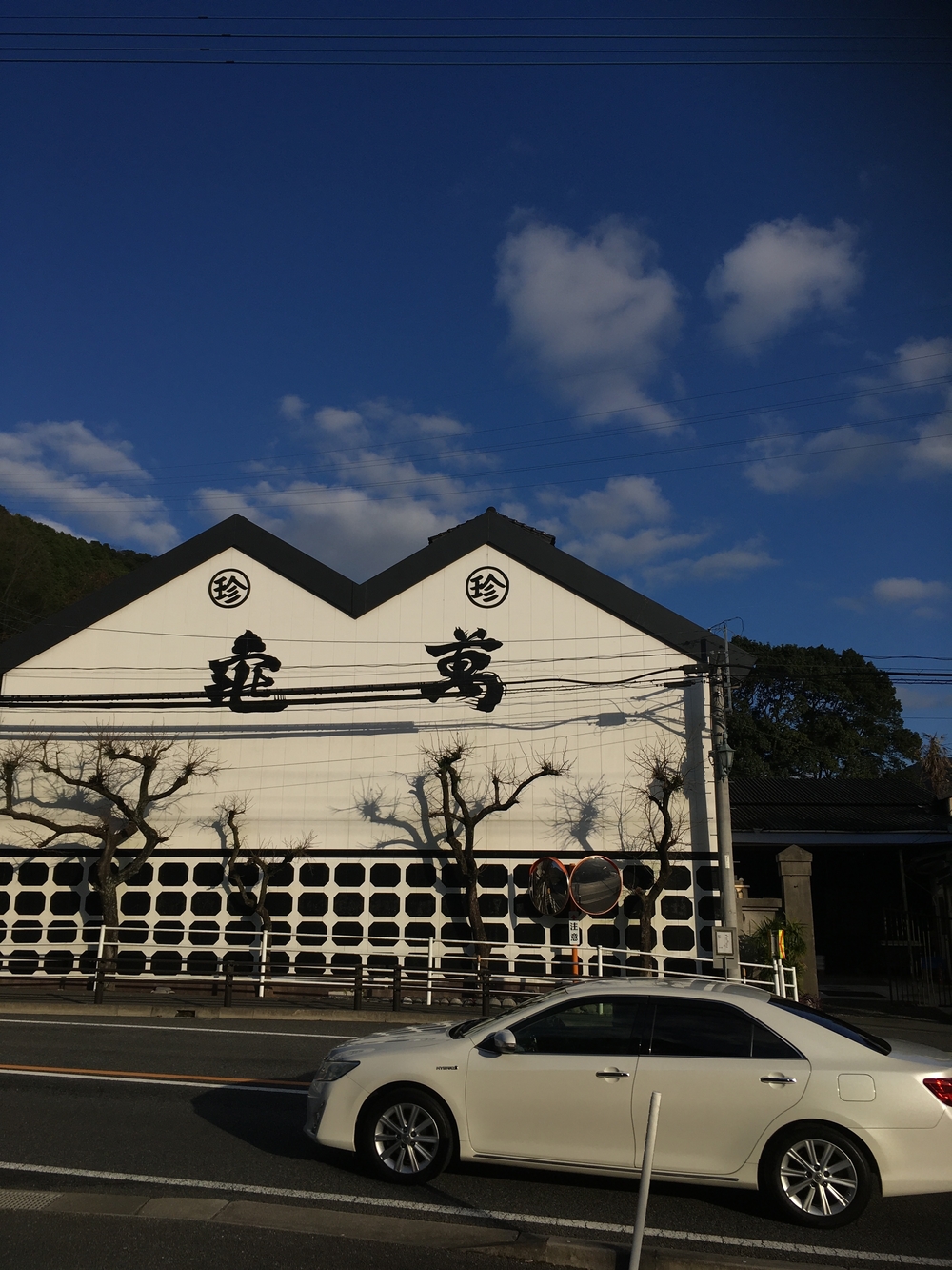 博多駅→鹿児島中央駅ジャーニーラン345km3日目の写真6