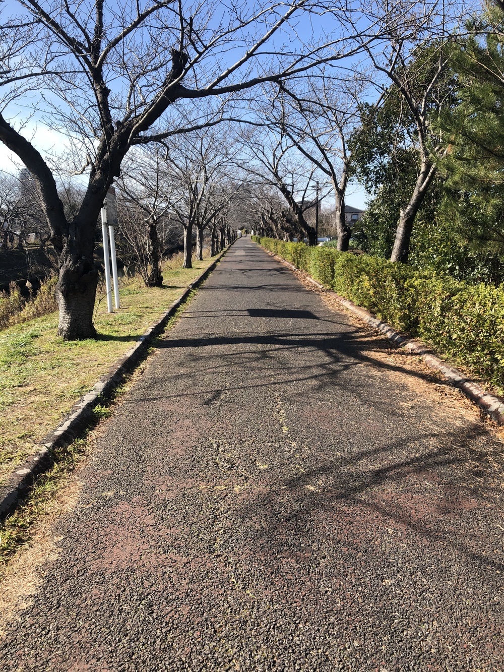 船橋運動公園〜海老川〜夏見〜一周10kmの写真4