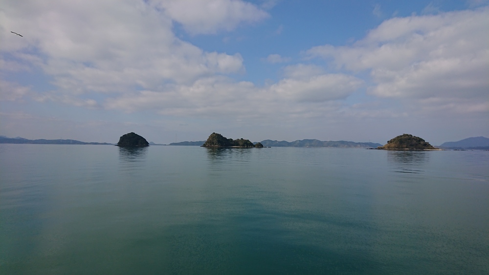 熊本第二の街八代を走るの写真6