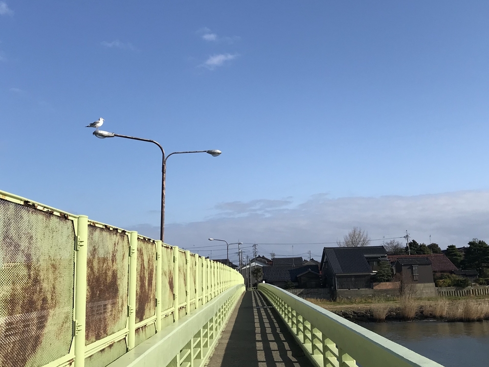 梯川ミズベリングコースの写真3