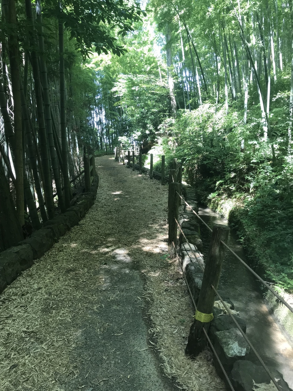 犀川と浅野川　上流巡りコースの写真4