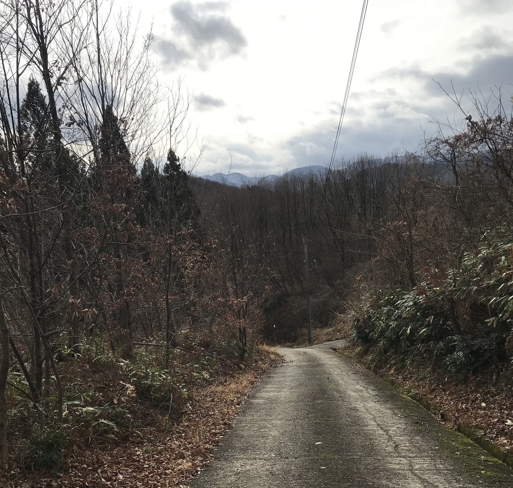 犀川と浅野川　上流巡りコースの写真5
