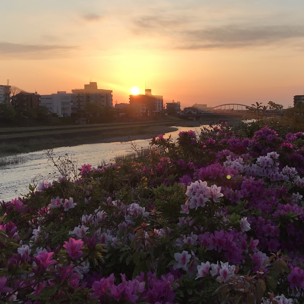 犀川下流コースの写真7