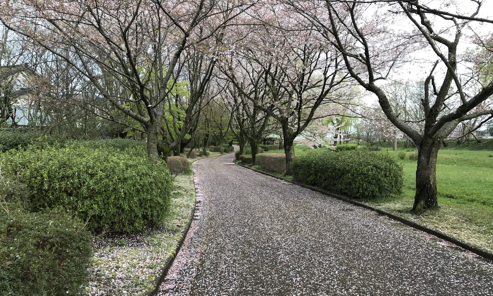 犀川下流コースの写真8