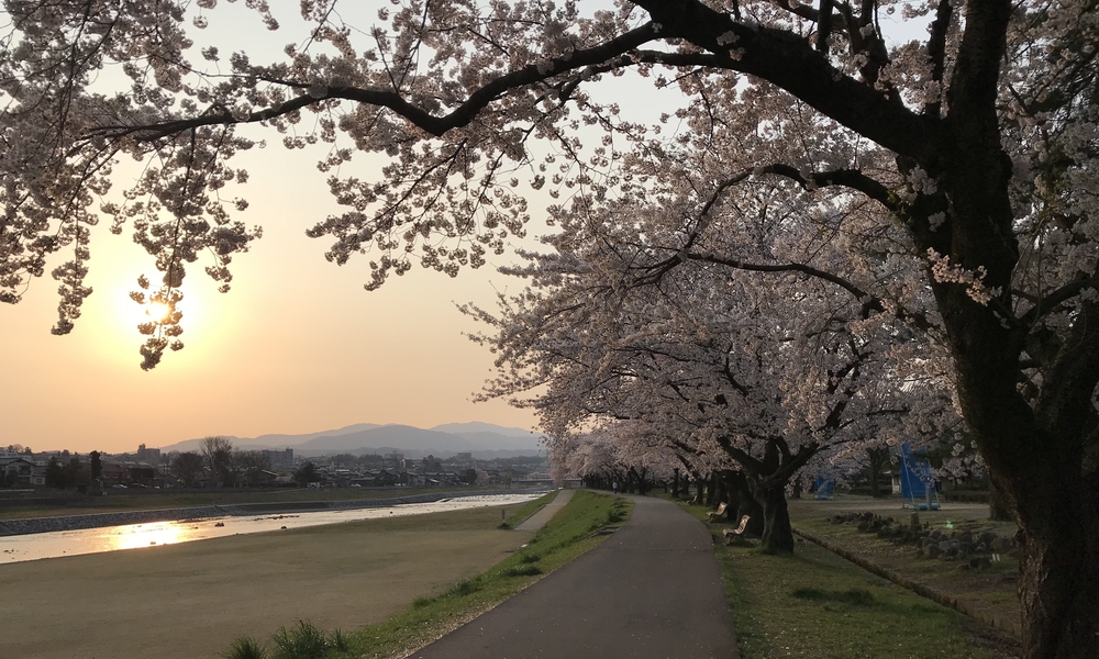 犀川下流コースの写真10