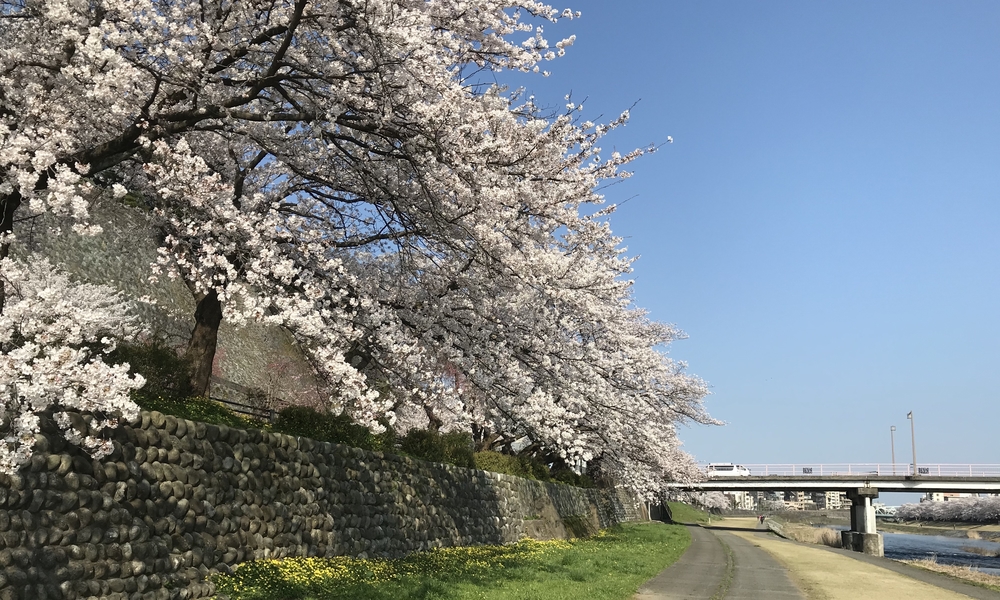 犀川下流コースの写真11