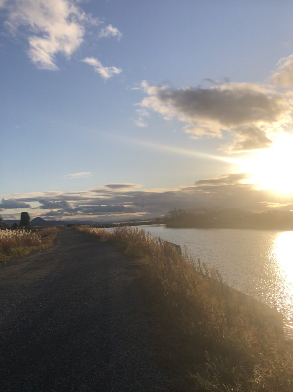 浜街道〜さざなみ街道〜びわ湖よし笛ロードを走る！の写真3