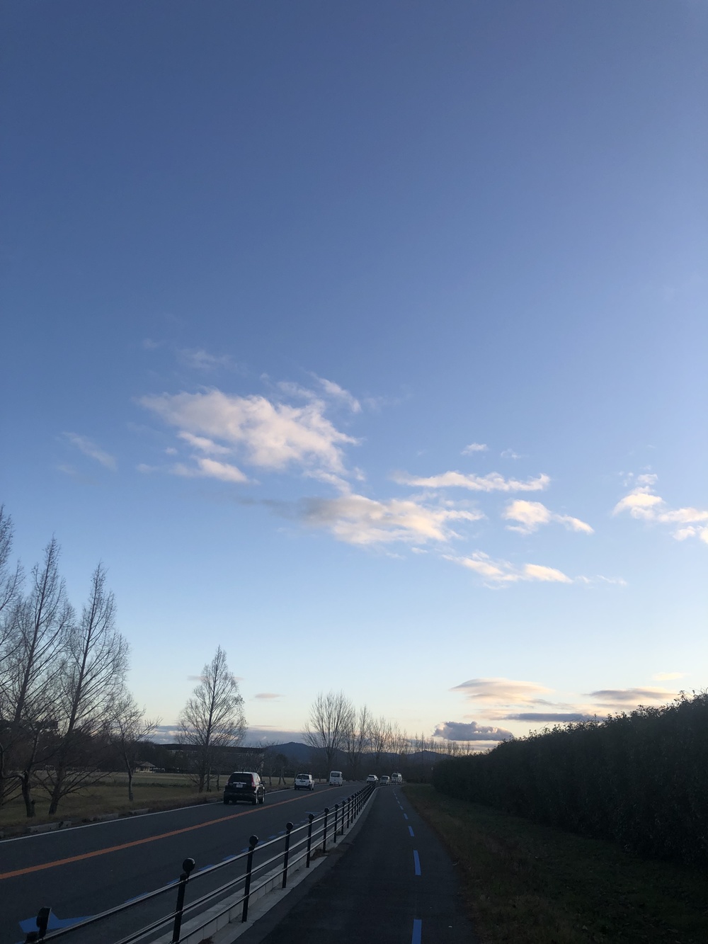 浜街道〜さざなみ街道〜びわ湖よし笛ロードを走る！の写真4