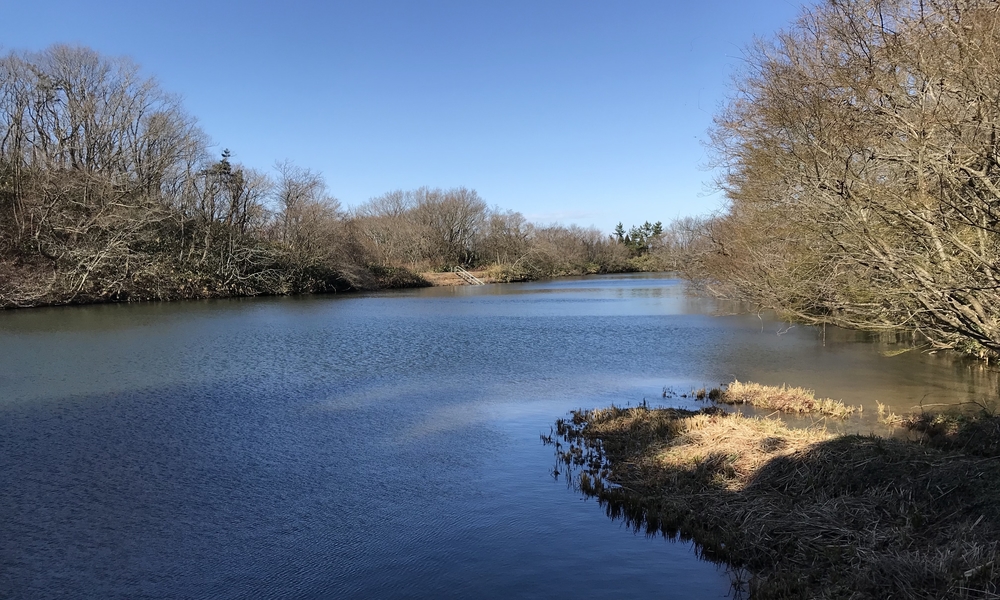 宝達山トレイルとロードの写真3