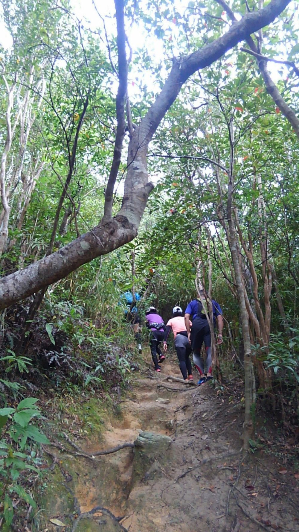 沖縄 石川岳の写真4