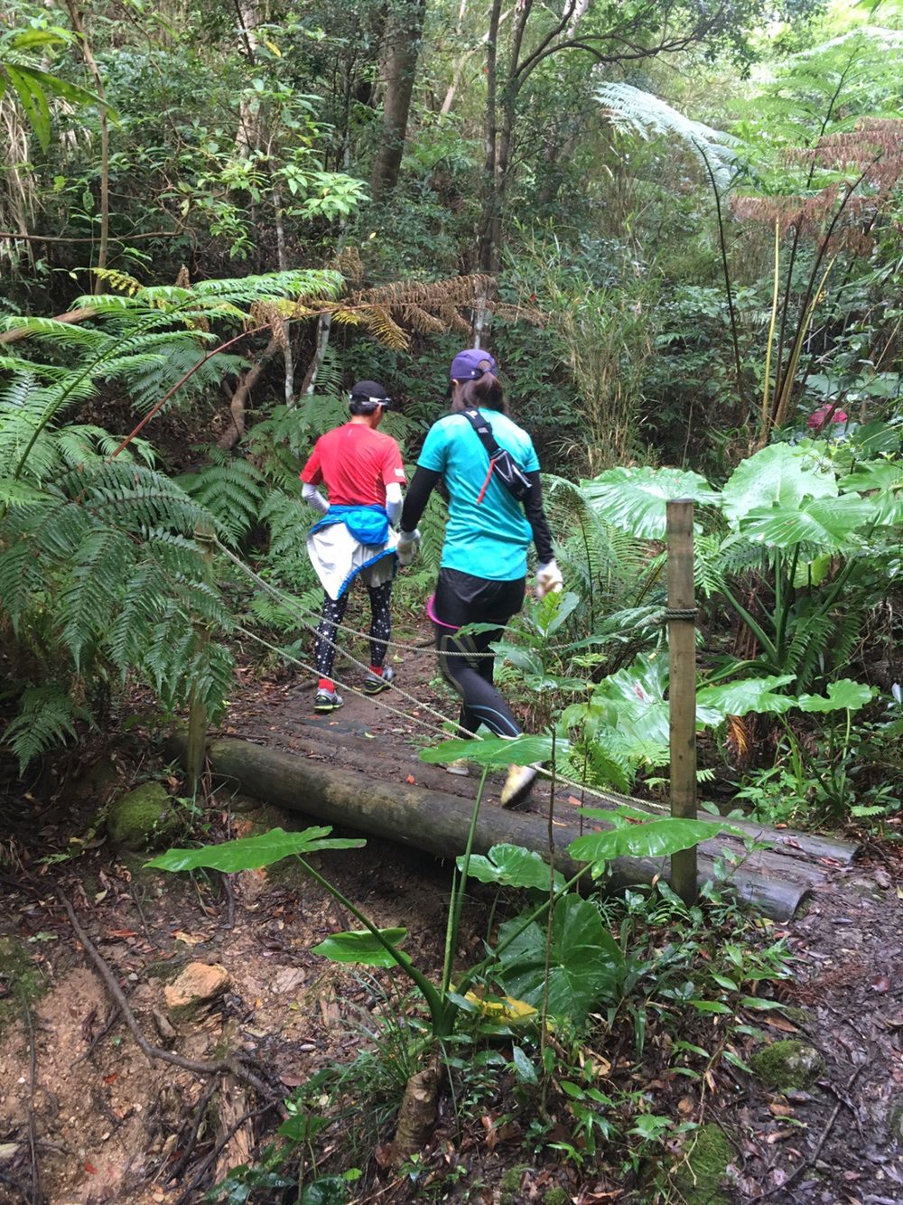 沖縄 石川岳の写真5