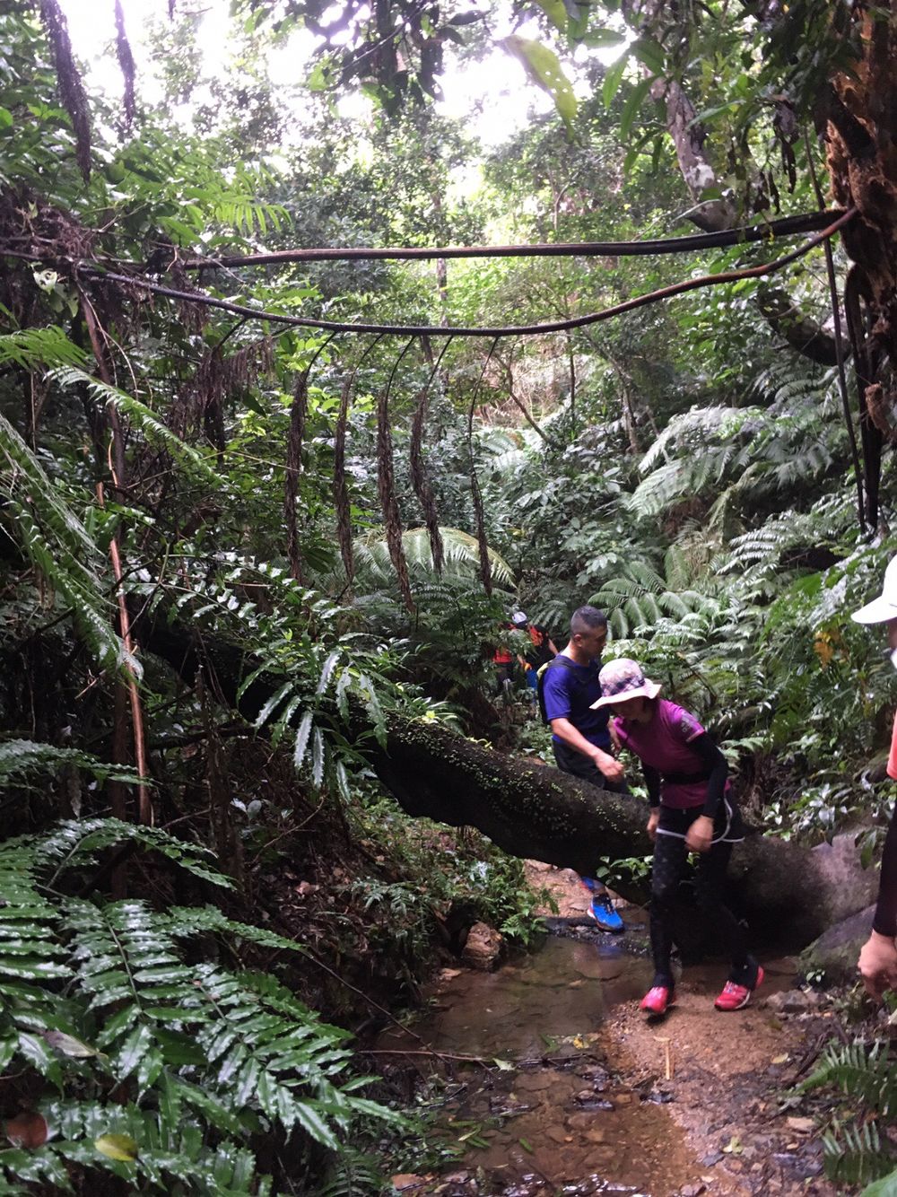 沖縄 石川岳の写真6