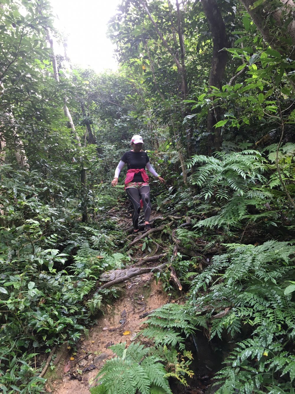 沖縄 石川岳の写真7