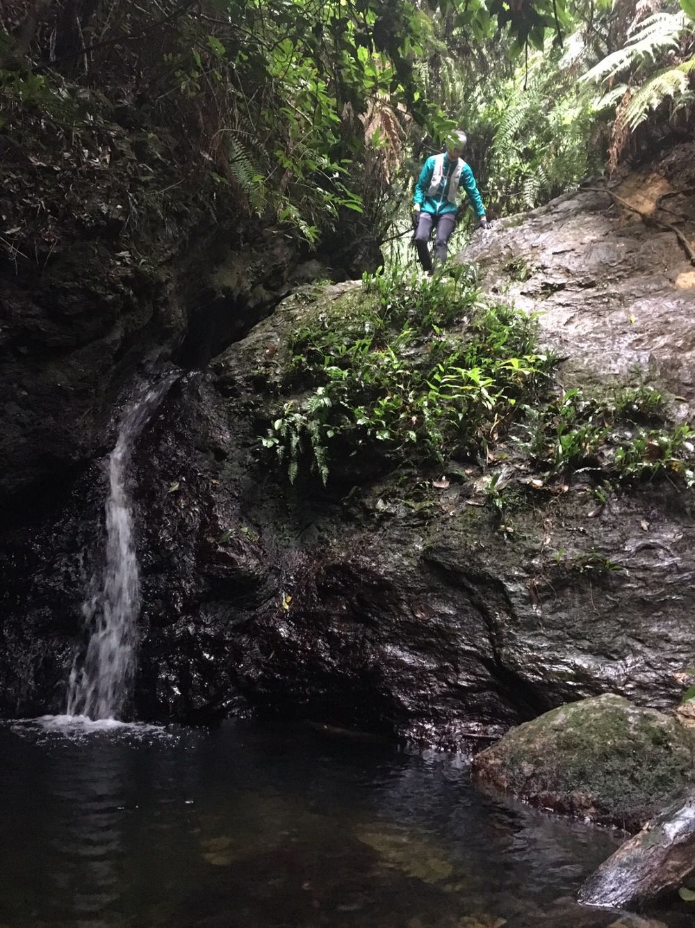 沖縄 石川岳の写真12