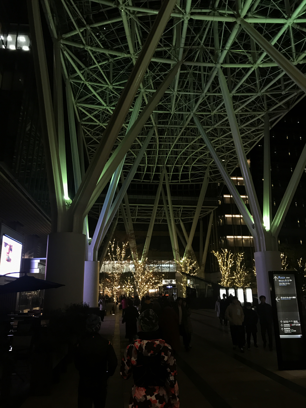 2019東京イルミネーションランの写真3