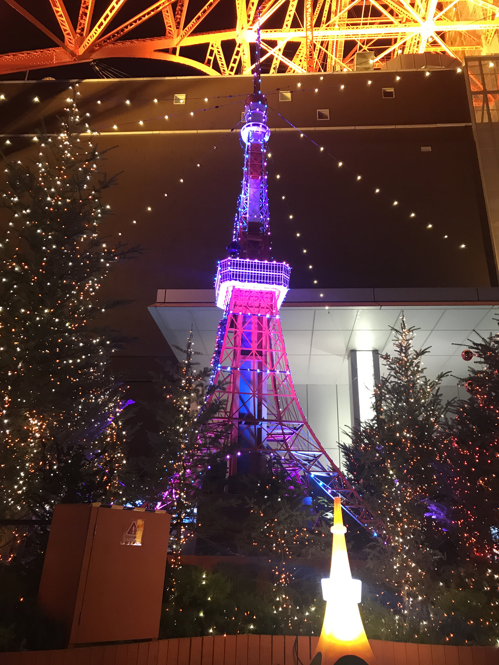 2019東京イルミネーションランの写真5